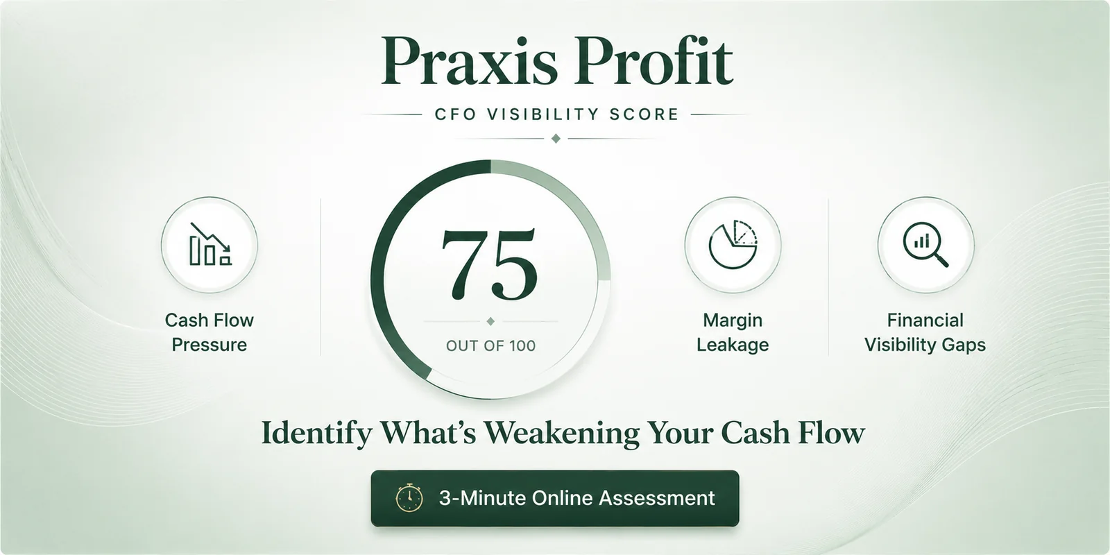 Praxis Profit CFO Visibility Score cover preview.